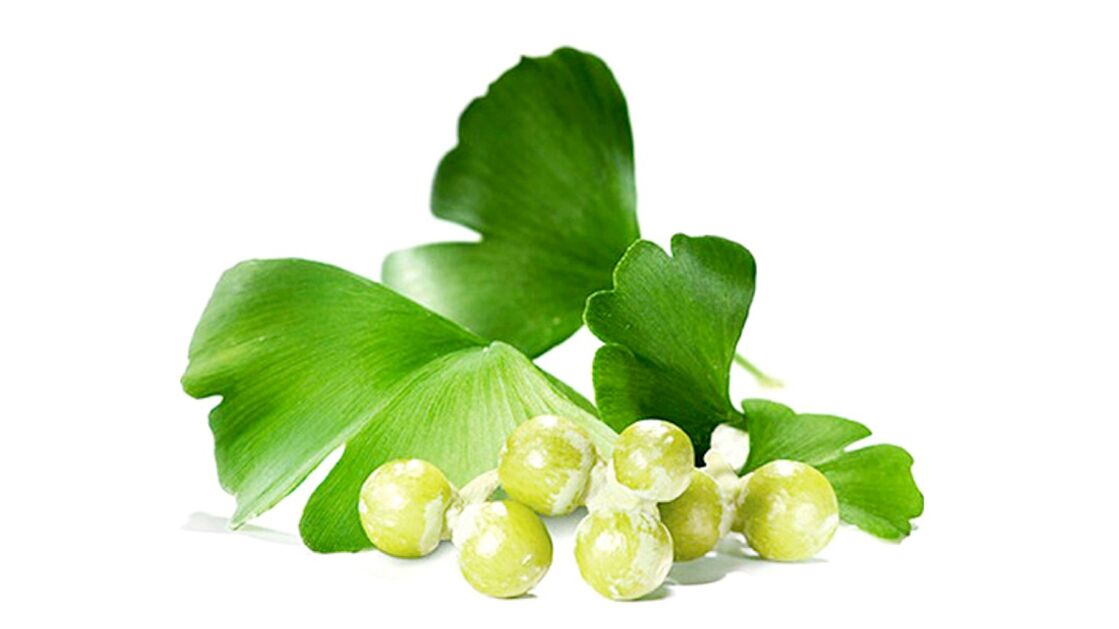 Bilobe ginkgo dans OstyHealth
