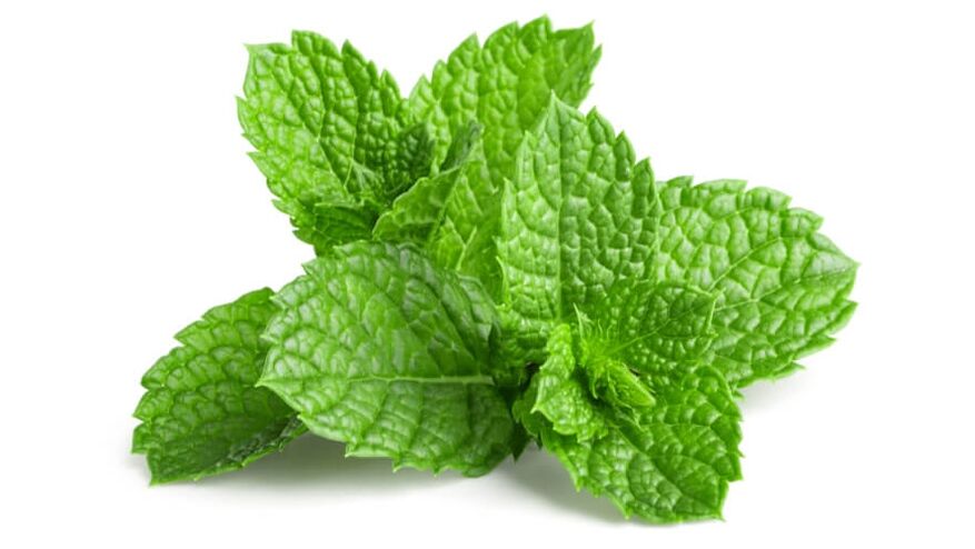 Menthol à OstyHealth